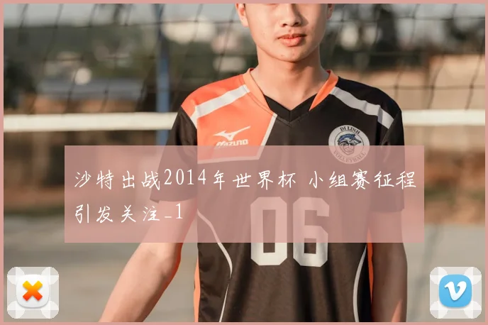 沙特出战2014年世界杯 小组赛征程引发关注_1