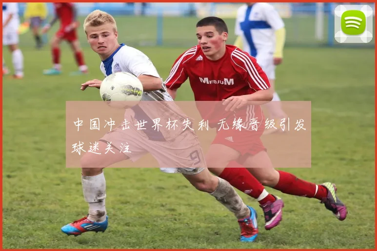 中国冲击世界杯失利 无缘晋级引发球迷关注