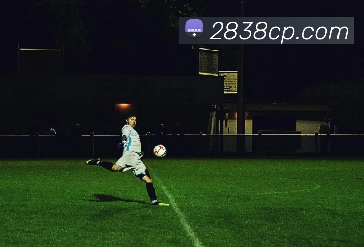 爱体育官网app下载平台生态图